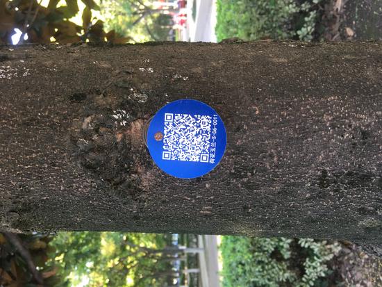 2021 09 08 怎么又要开学